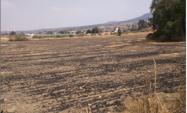 TENANGO DEL AIRE TERRENO HABITACIONAL EN VENTA EDOMEX.