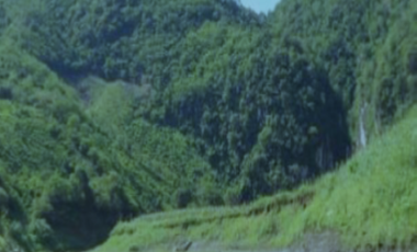 EJIDO SANTA CLARA, TERRENO, VENTA, BERRIOZABAL,CHIAPAS