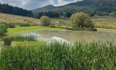 RANCHERÍA VENTA  VILLA VICTORIA EDO MEX.