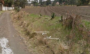 SAN MIGUEL AJUSCO TERRENO SEMIRURAL VENTA TLALPAN CDMX.