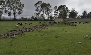 Palos Altos, Soyaniquilpan, Terreno, Venta, Edo. México,