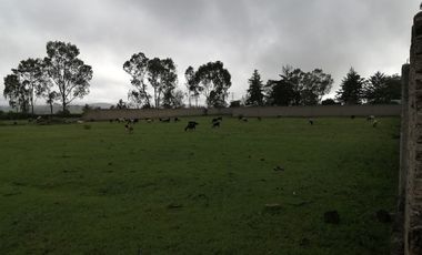 Palos Altos, Soyaniquilpan, Terreno, Venta, Edo. México,