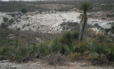 TEPEXI DE RODRIGUEZ TERRENO VENTA TEPEXI PUEBLA