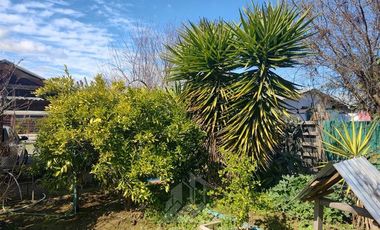 Casa en Venta en Curepto Los Huertos