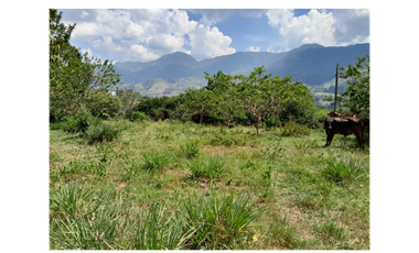 VENTA LOTE UNIDAD CERRADA POPALITO BARBOSA ANTIOQUIA