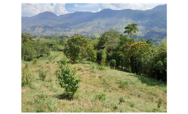 VENTA LOTE UNIDAD CERRADA POPALITO BARBOSA ANTIOQUIA