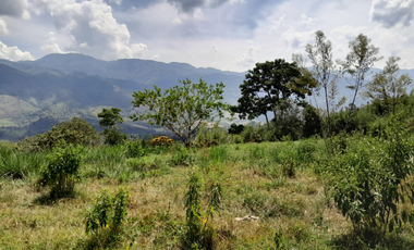 VENTA LOTE UNIDAD CERRADA POPALITO BARBOSA ANTIOQUIA