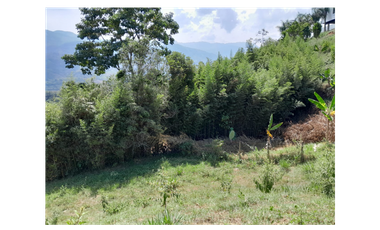 VENTA LOTE UNIDAD CERRADA POPALITO BARBOSA ANTIOQUIA