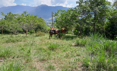 VENTA LOTE UNIDAD CERRADA POPALITO BARBOSA ANTIOQUIA