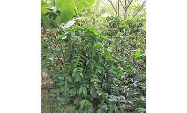 VENTA FINCA RECREO EL NORAL COPACABANA  ANTIOQUIA