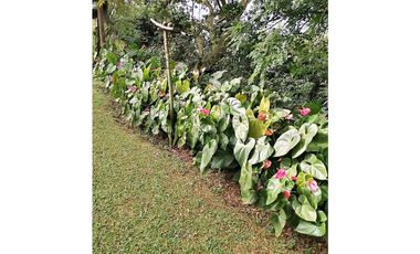 VENTA FINCA RECREO EL NORAL COPACABANA  ANTIOQUIA