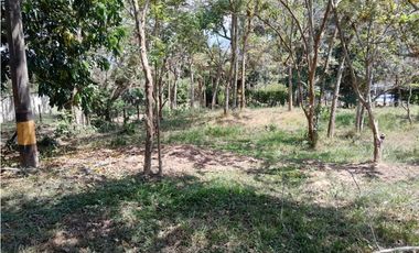 VENTA LOTE CAMPESTRE POPALITO BARBOSA ANTIOQUIA