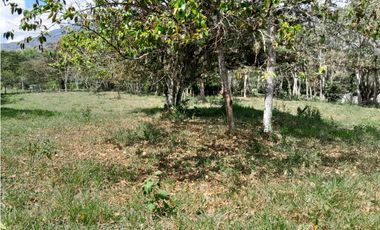 VENTA LOTE CAMPESTRE POPALITO BARBOSA ANTIOQUIA