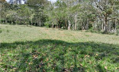 VENTA LOTE CAMPESTRE POPALITO BARBOSA ANTIOQUIA