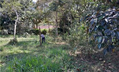 VENTA LOTE CAMPESTRE POPALITO BARBOSA ANTIOQUIA