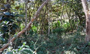 VENTA LOTE CAMPESTRE POPALITO BARBOSA ANTIOQUIA