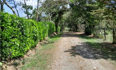 VENTA LOTE CAMPESTRE POPALITO BARBOSA ANTIOQUIA
