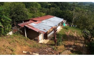 VENTA FINCA - BUENAVISTA