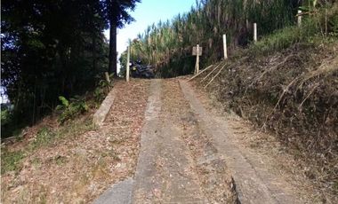 VENTA FINCA - BUENAVISTA