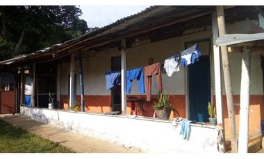 VENTA FINCA - BUENAVISTA