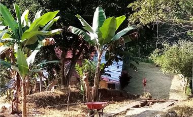 VENTA FINCA - BUENAVISTA