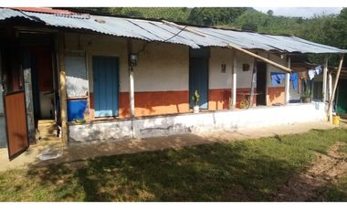VENTA FINCA - BUENAVISTA