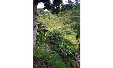 VENTA FINCA - BUENAVISTA