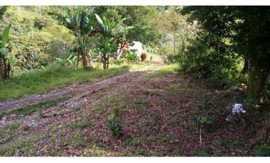 VENTA FINCA - BUENAVISTA
