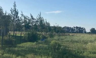 Terreno en venta - 4.500Mts2 - Salvador María