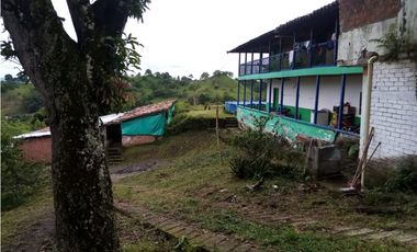 VENTA FINCA - BUENAVISTA