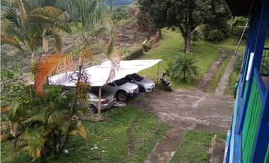 VENTA FINCA - BUENAVISTA