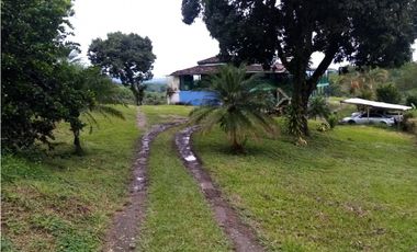VENTA FINCA - BUENAVISTA