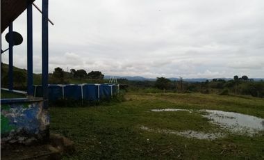 VENTA FINCA - BUENAVISTA