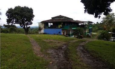 VENTA FINCA - BUENAVISTA
