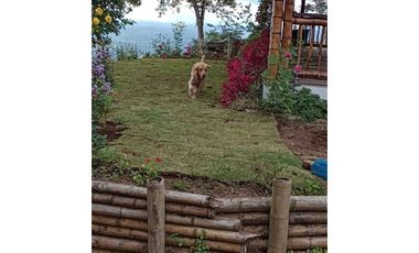VENTA FINCA - BUENAVISTA