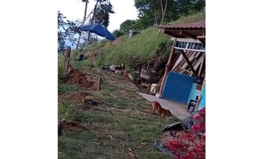VENTA FINCA - BUENAVISTA