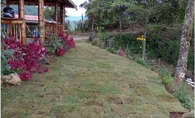 VENTA FINCA - BUENAVISTA