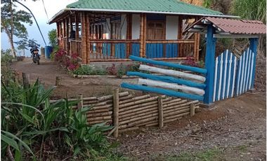 VENTA FINCA - BUENAVISTA