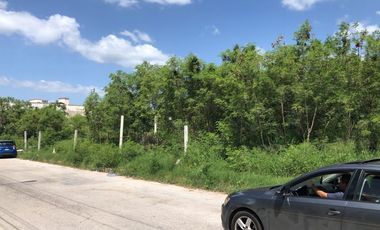 TERRENO EN RENTA EN CAMPECHE: AREA AH KIM PECH