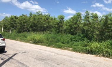 TERRENO EN RENTA EN CAMPECHE: AREA AH KIM PECH
