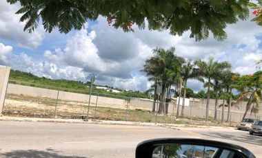 TERRENOS EN RENTA EN CAMPECHE:   AV. LAZARO CARDENAS