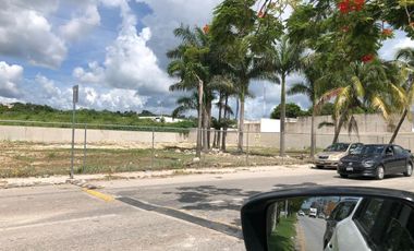 TERRENOS EN RENTA EN CAMPECHE:   AV. LAZARO CARDENAS