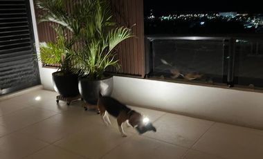 Casa en venta  en Campeche en Privada Residencial La Eminencia