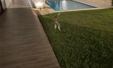 Casa en venta  en Campeche en Privada Residencial La Eminencia