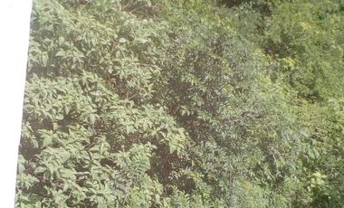 CASAS EN VENTA EN CAMPECHE: COUNTRY CLUB CAMPECHE