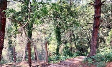 Espectacular Rancho en Venta en Acatitlan