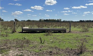 Campo en venta en Ranchos. 117 Has mixtas sobre ruta 29
