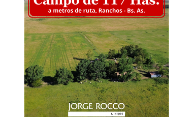 Campo en venta en Ranchos. 117 Has mixtas sobre ruta 29
