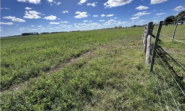 Campo en venta en Ranchos. 117 Has mixtas sobre ruta 29