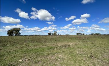Campo en venta en Ranchos. 117 Has mixtas sobre ruta 29